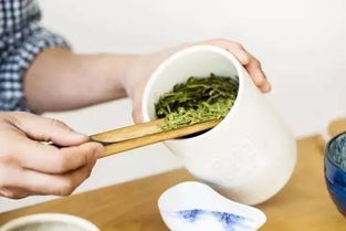 茶葉保鮮指南 容器封口蓋的選擇與使用