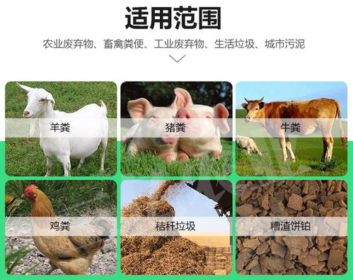 三億農(nóng)業(yè)助力綠色循環(huán) 豬糞與黃牛糞有機(jī)肥生產(chǎn)設(shè)備引領(lǐng)玉樹(shù)生態(tài)新篇章